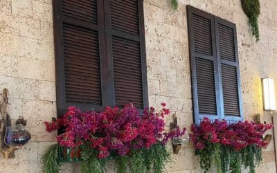 Limestone: Its History, Uses, and Locations in Saudi Arabia