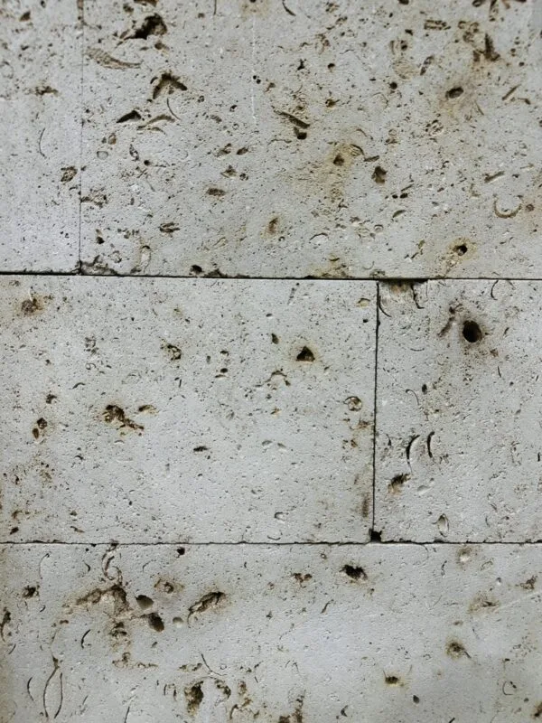 الحجر المنقبي