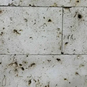 الحجر المنقبي-Coral Stone (Manqabi )