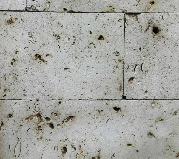 الحجر المنقبي-Coral Stone (Manqabi )